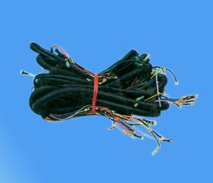 Body Harness